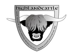 Highlandcattle vom Lautertal
